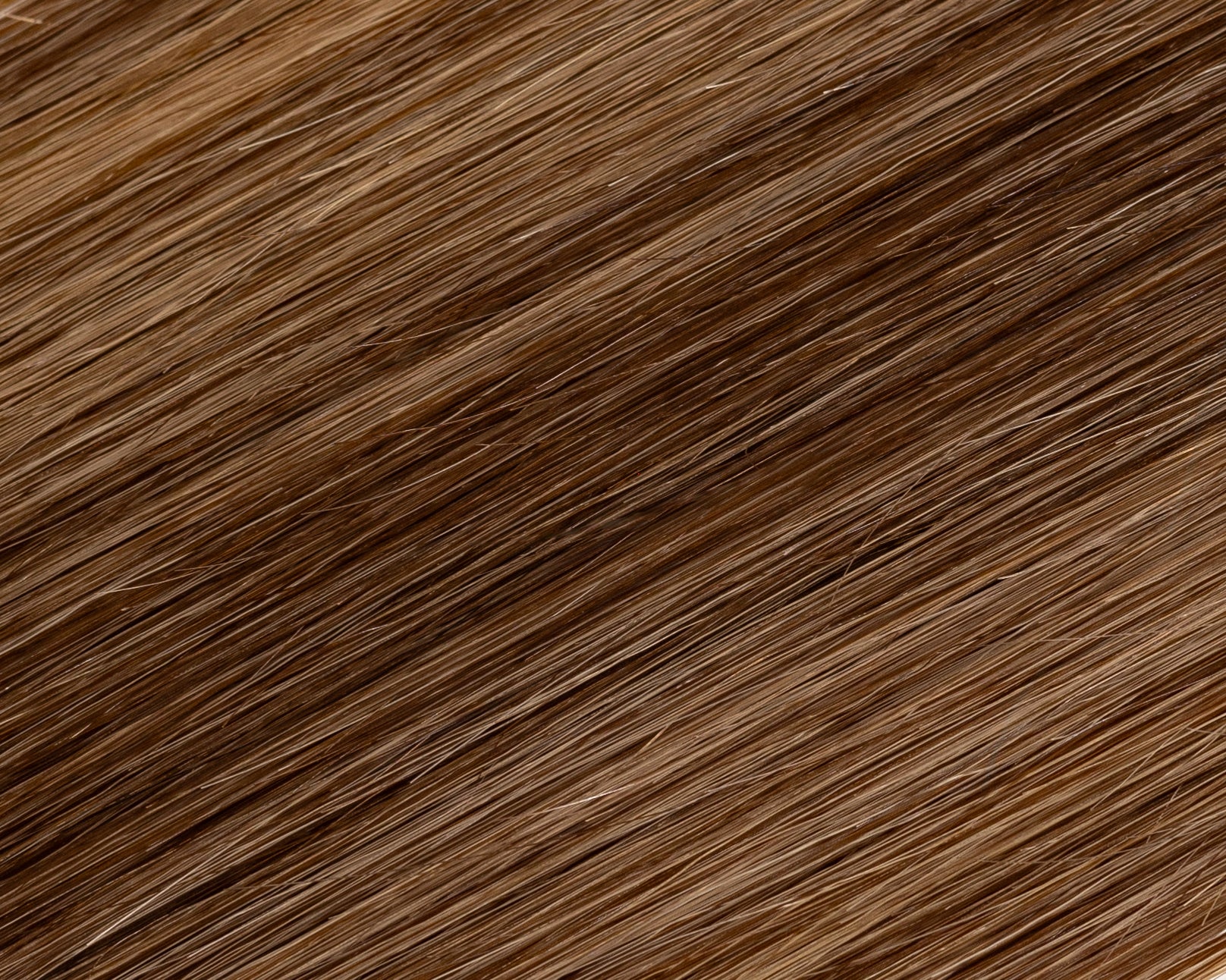 Easy Tiger Genius Weft